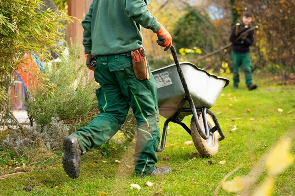 Affordable Lawn Care Services
