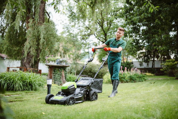 Professional Lawn Mower Services