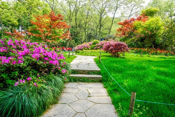 Lawn Care Services
