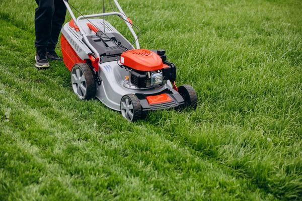 Lawn Mower Services