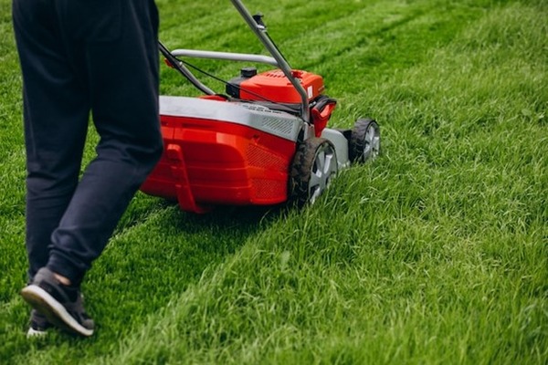 Lawns For Less
