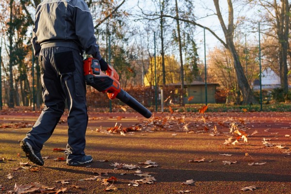 Leaf Removal Services