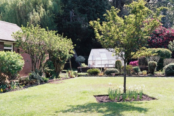 Grass Clippings