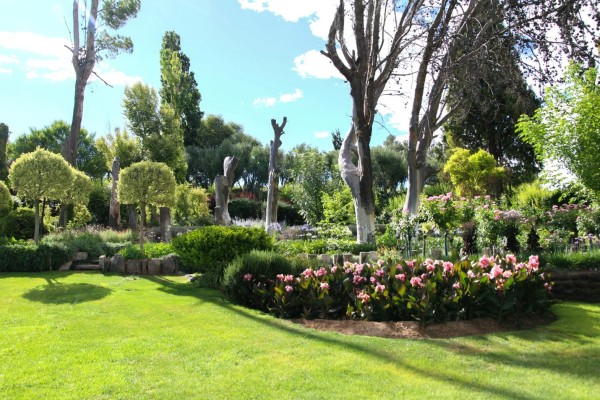 Lawn Border Edging Services