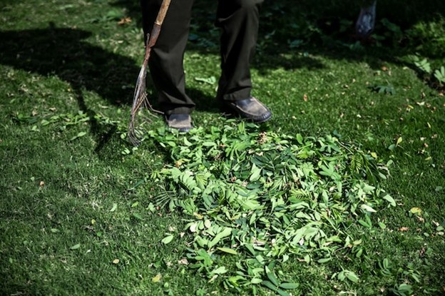 Debris Removal After a Storm What to Clear First for Safety and Lawn Health