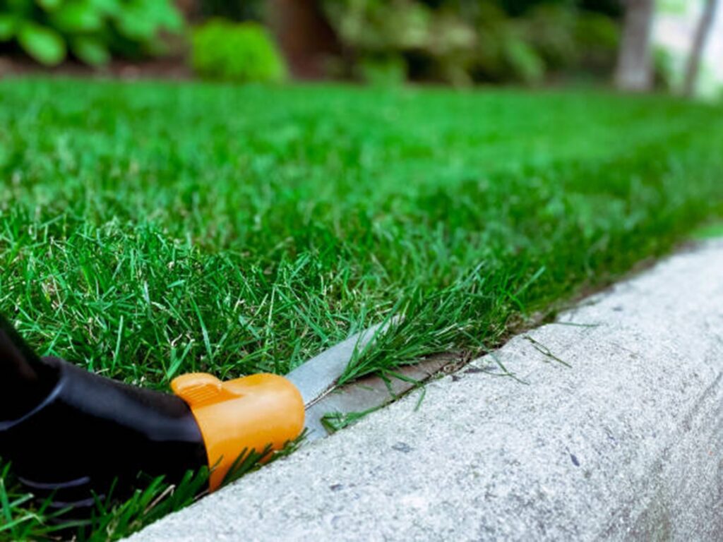 Lawn Edging Mistakes That Make Lawns Look Messy and How to Fix Them