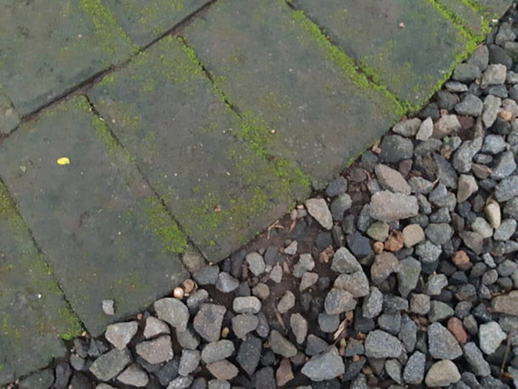 How to Remove Green Algae from Patio Pavers Without Damaging the Surface