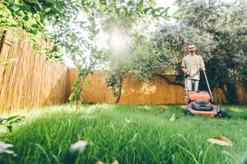 Lawn Mowing Height Tips That Prevent Scalp Marks and Brown Patches